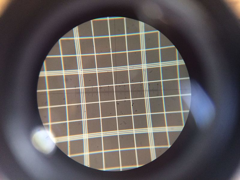 File:Mark trent microscope2.jpg