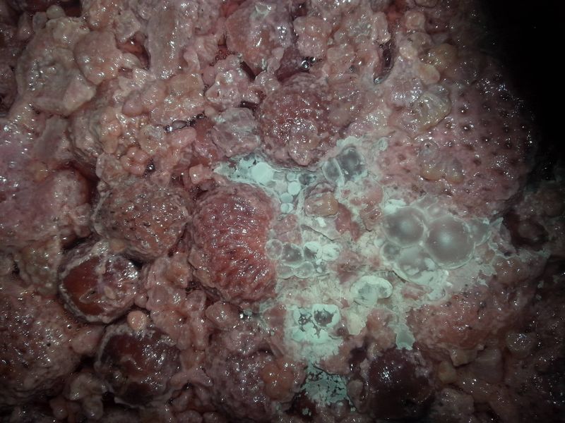 File:Mold ex12.jpg