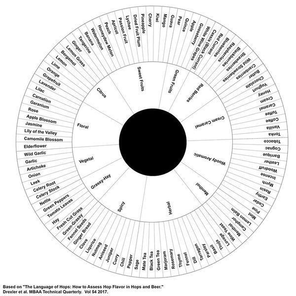 File:Hop flavor wheel.jpg