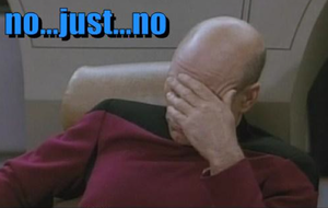 Picard no…just …no gif.png