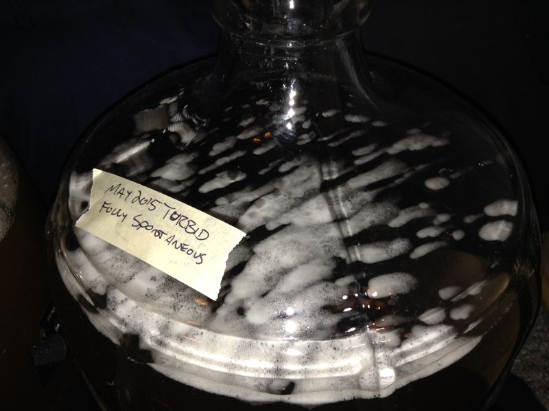 File:Homebrew spontaneous fermentation.jpeg