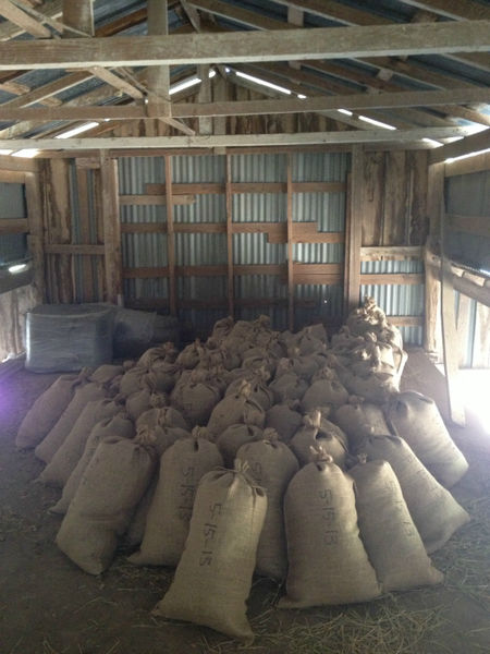 File:Jester King aged hops.jpg