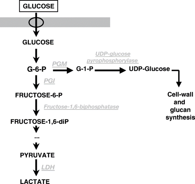 File:EPS.gif