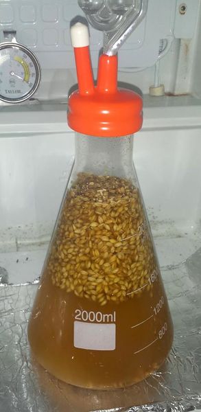 File:Sourgrains.jpg