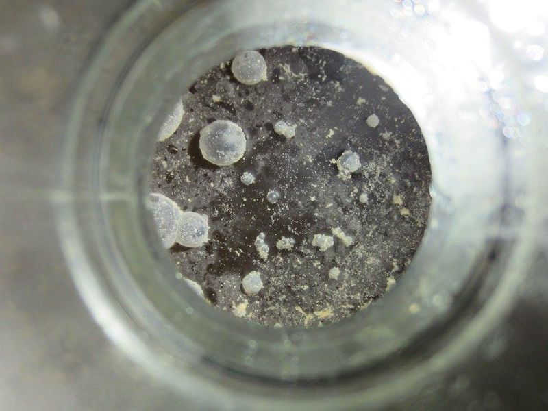 File:Brussels brett blend pellicle2.jpg