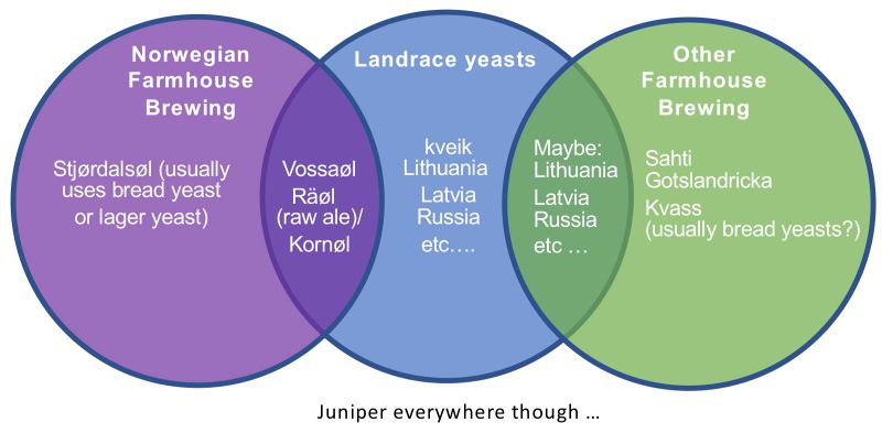 File:Kveik vs landrace diagram.jpg